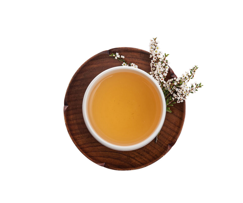 茶妃TEAFFEE野放茶有機白茶茶湯